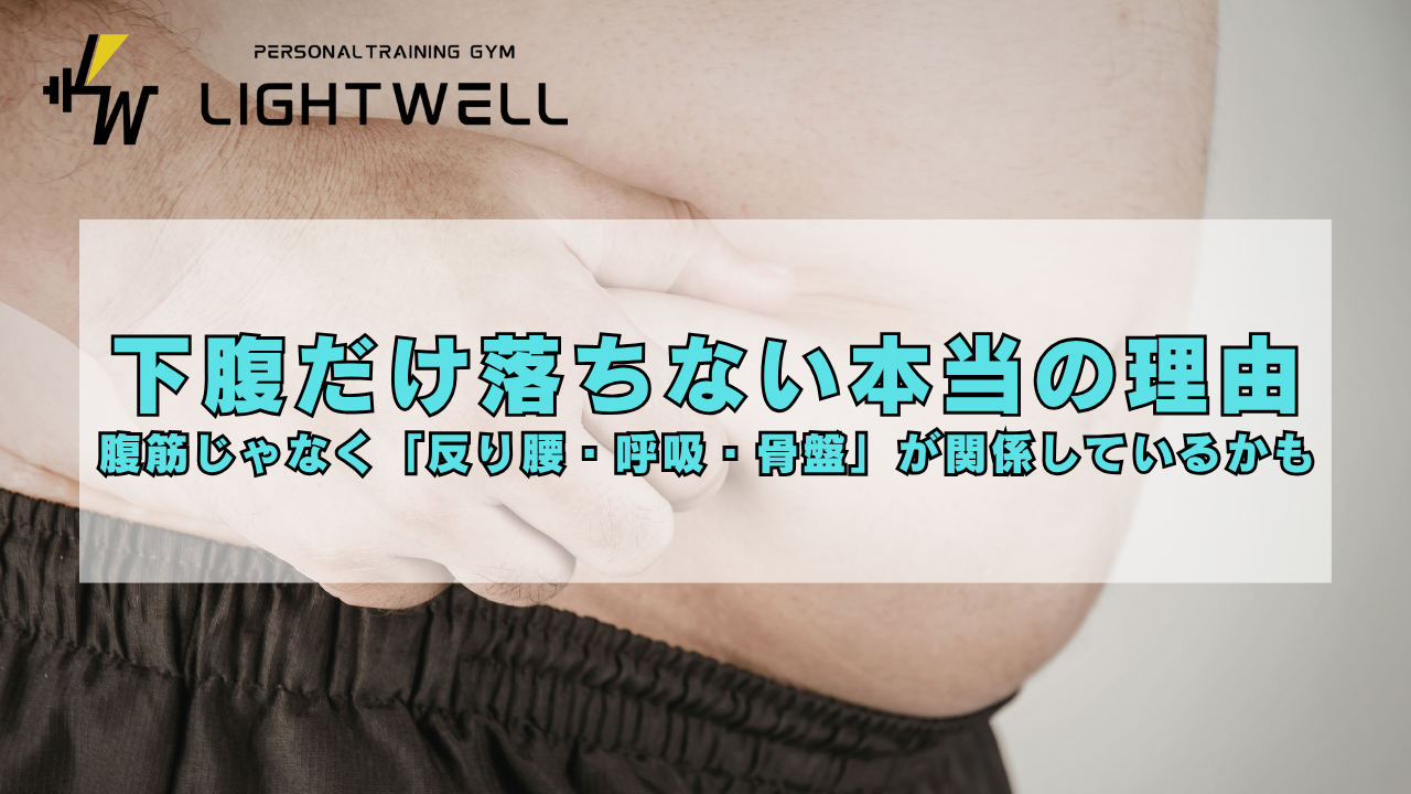 下腹だけ落ちない本当の理由 腹筋じゃなく「反り腰・呼吸・骨盤」が関係しているかも